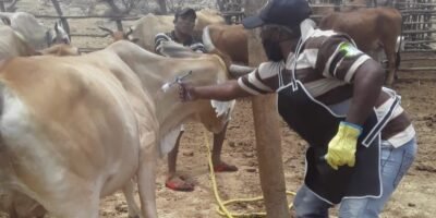 Vacunaciónenzonadefrontera-FOTO 2 - Cuarta semana (3)