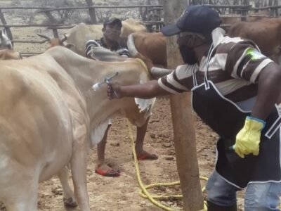 Vacunaciónenzonadefrontera-FOTO 2 - Cuarta semana (3)