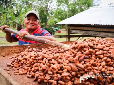 Valencia-proyectodecacao-VISITA DE PROYECTO DE CACAO EN VALENCIA (8)