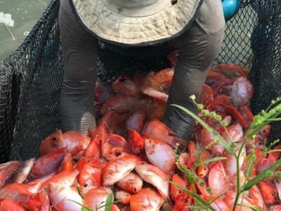 Acuicultura-Aunap (2)