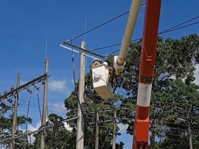 Afinia-cortes2demayohastael4 (2)