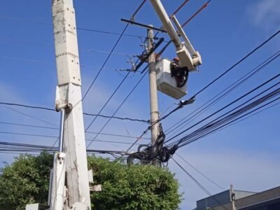 Afinia-cortesdel28deabrilal1demayo (2)