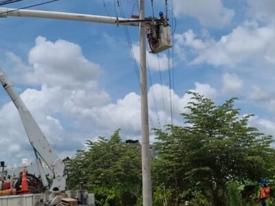 Afinia-cortesdesdeel11al13deabril (2)