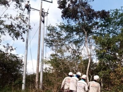 Afinia-cortesenCotorra-SanJosédeUré-PuertoLibertador (2)