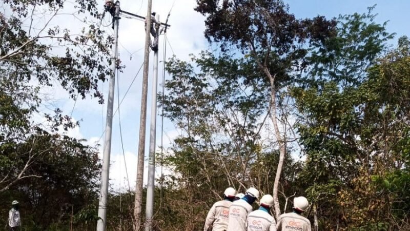 Afinia-cortesenCotorra-SanJosédeUré-PuertoLibertador (2)