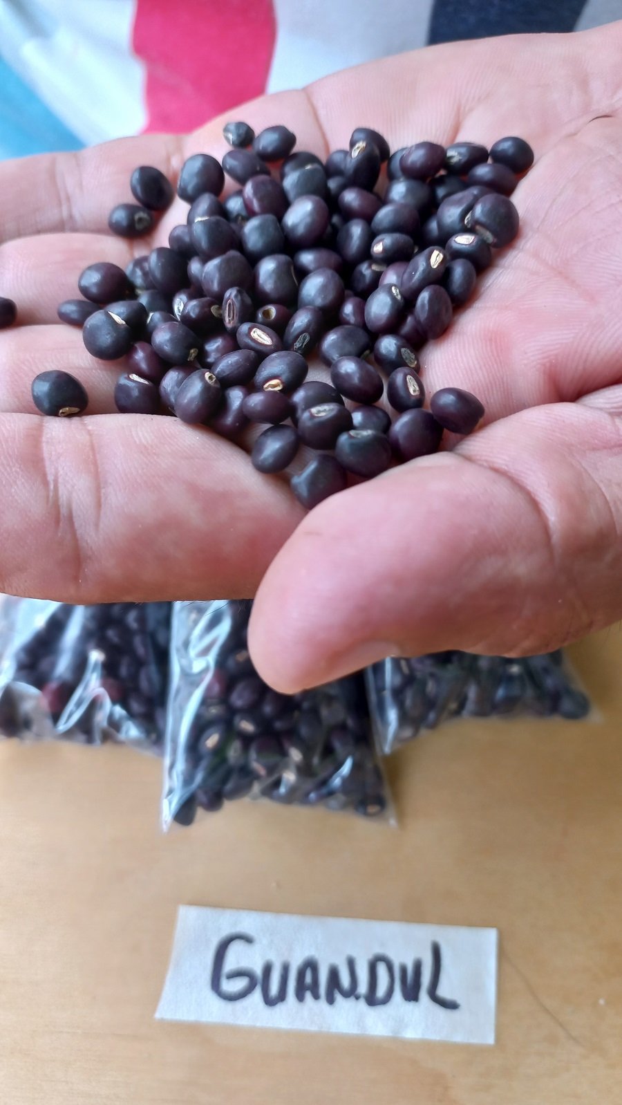 Biosinú-semillasdeguandul