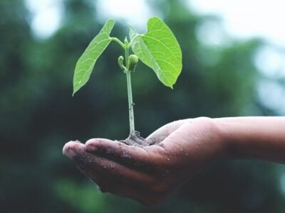 CAF-Cambio Climatico (2)
