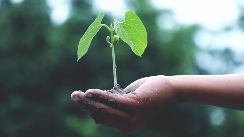 CAF-Cambio Climatico (2)