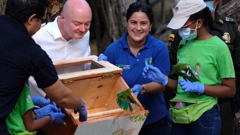 Cartagena-liberacióndepericosconseñorcalvo (2)