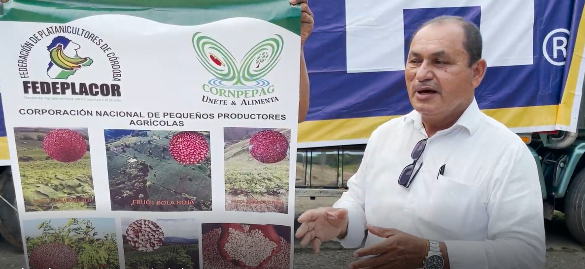 Cereté-fríjolcabecitanegra-VíctorPadillaDoria