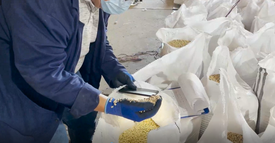 Cereté-fríjolcabecitanegra-clasificaciónenbolsas