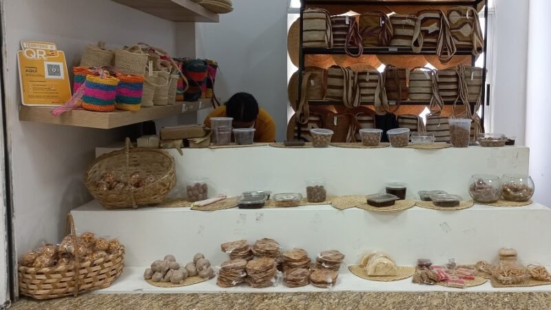 Empleadoparticular (2)