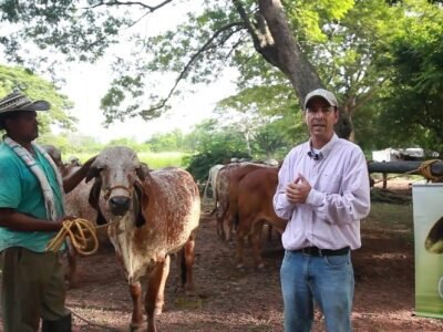 Fedegán-Gira Virtual Ganadera - Hacienda El Porvenir - San Diego, Cesar 2