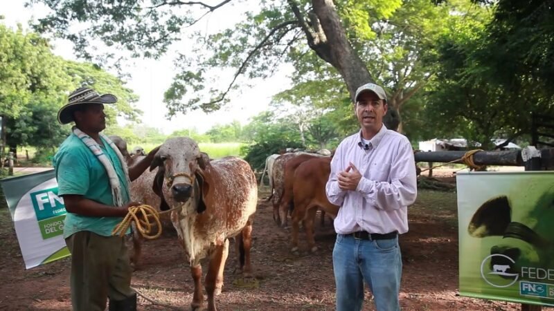 Fedegán-Gira Virtual Ganadera - Hacienda El Porvenir - San Diego, Cesar 2