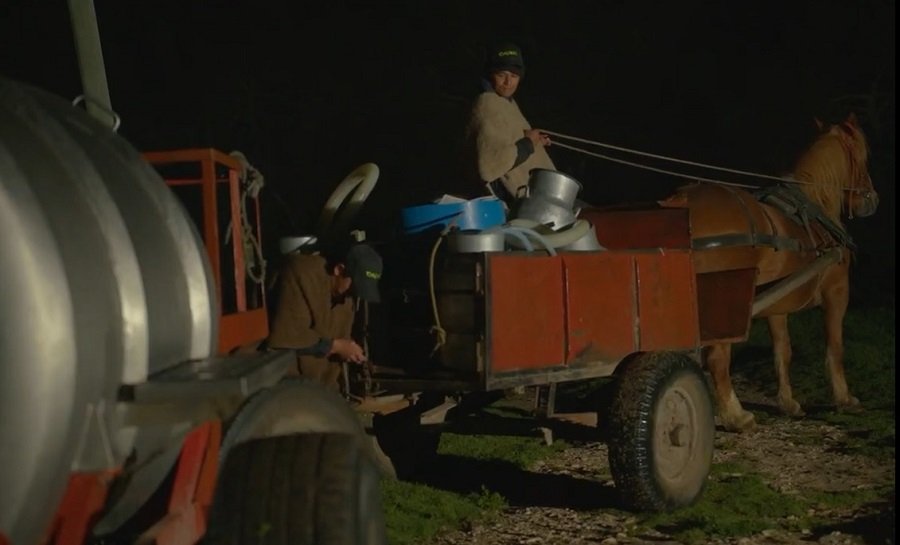Fedegán-tradiciónganadera-FOTO 6 - Serie web