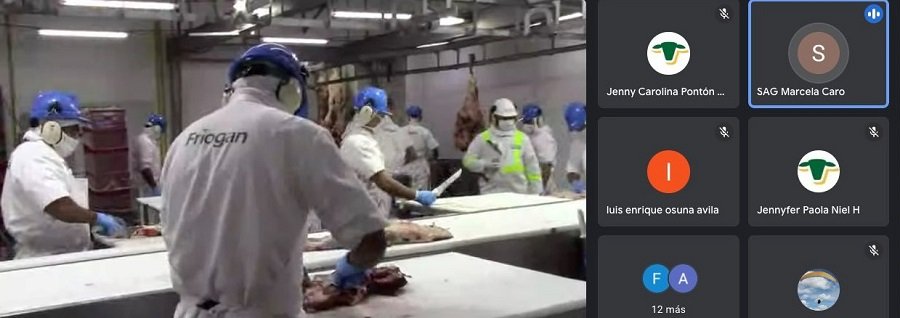 Invima-inspecciónremotaaplantas1 (2)