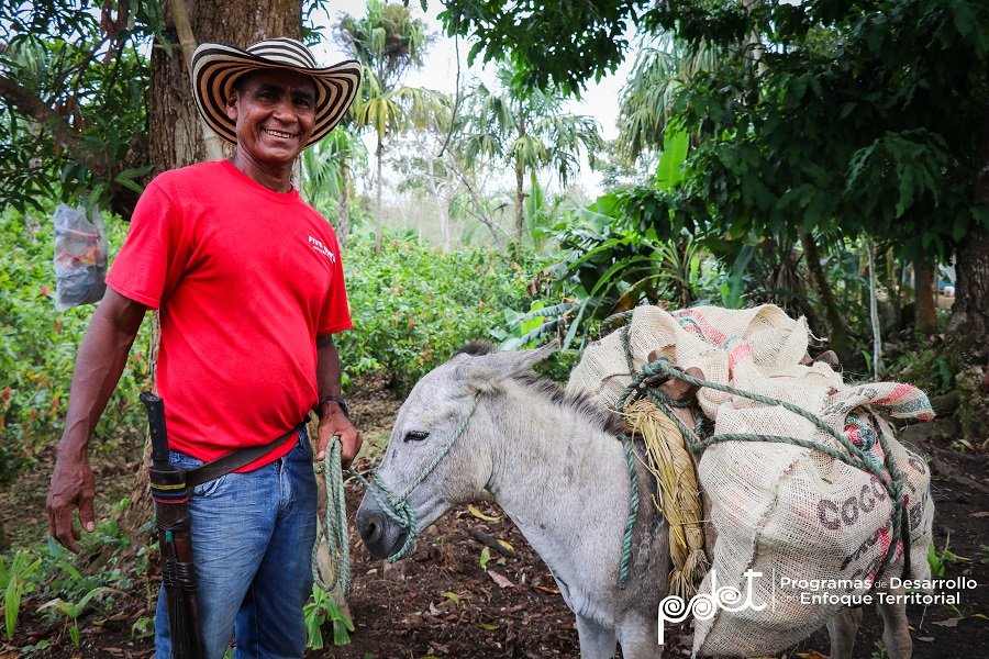 Las víctimas están siendo reparadas en los territorios PDET (1)