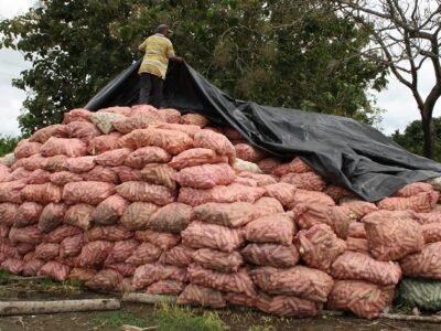 Maízalmacenadoalairelibre (2)