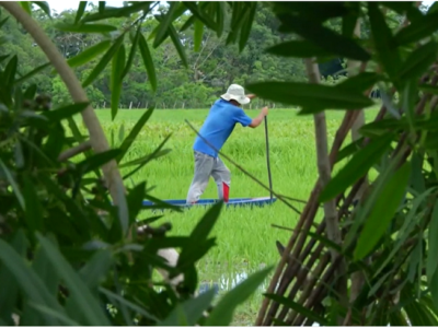 Mojana-climayvida-campesinoencanoa