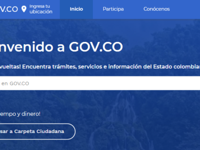 RUT-porelportalúnico (2)