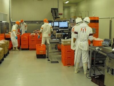 RedCárnica-embalaje (2)