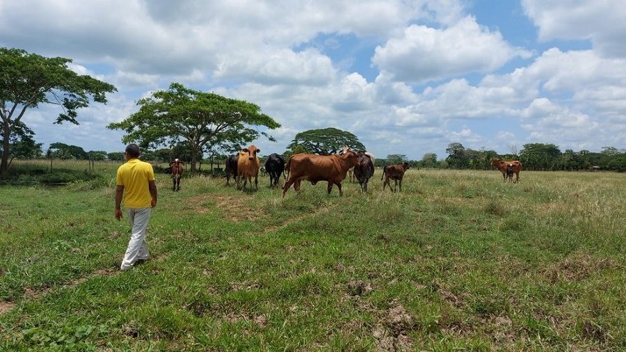 Restitución-víctimasdedespojo-1 (2)