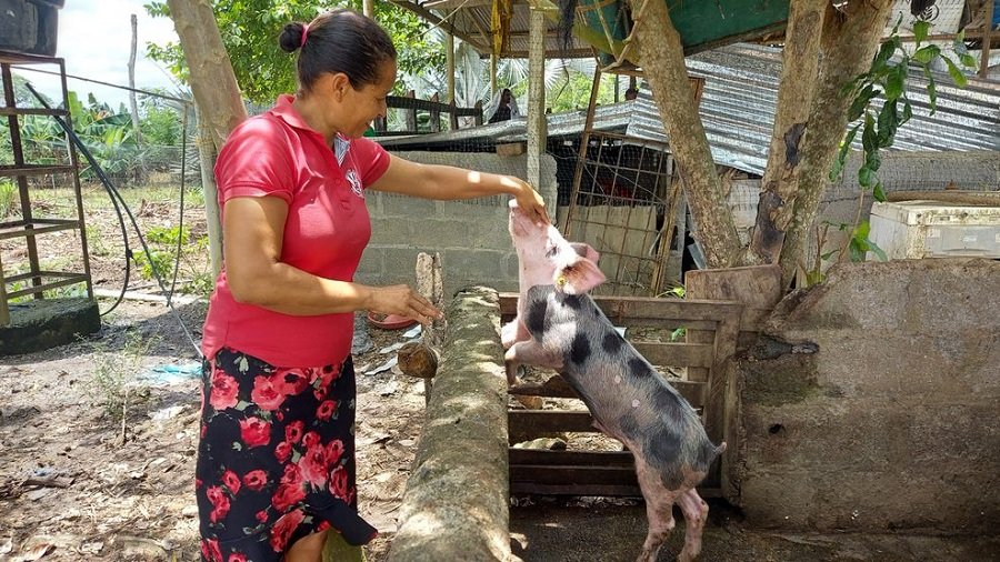 Restitución-víctimasdedespojo-4