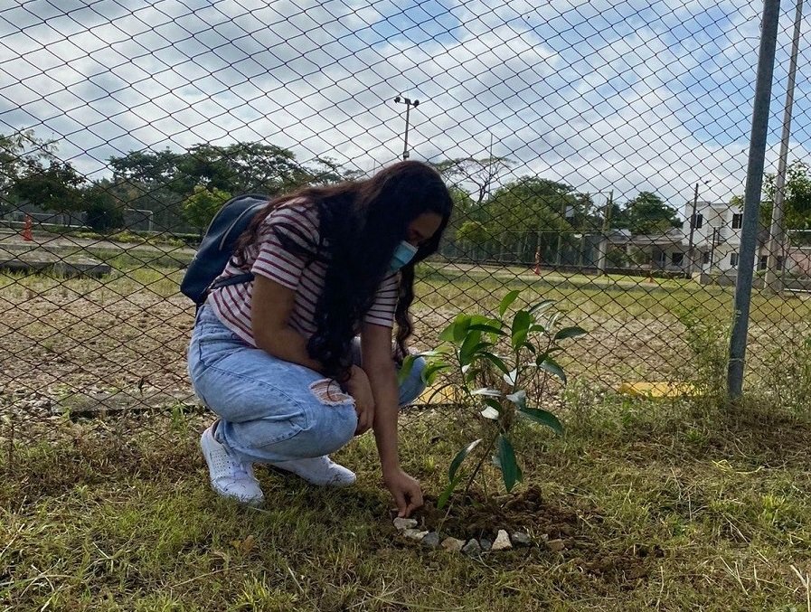 Sembratón-Montería1 (2)