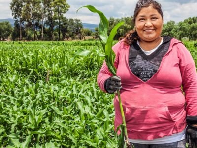 Syngenta-Proagricultor (2)