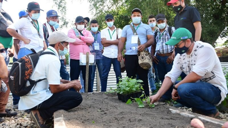 Urrá-Campesinos en programa del Ciat (2)