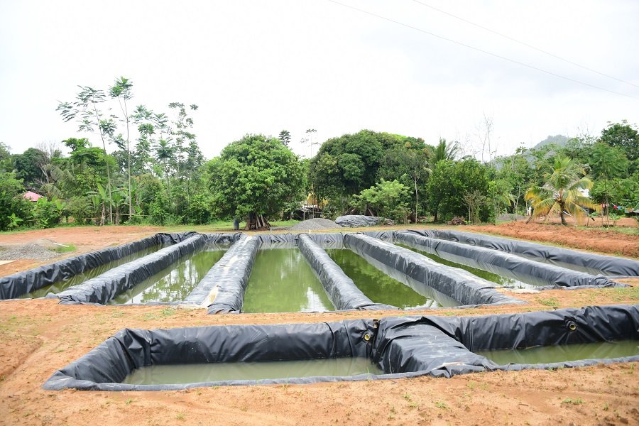 Urrá-Filtros verdes