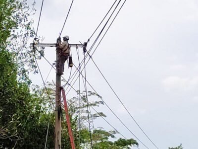 Afinia-Sahagún-trabajosenredes (2)