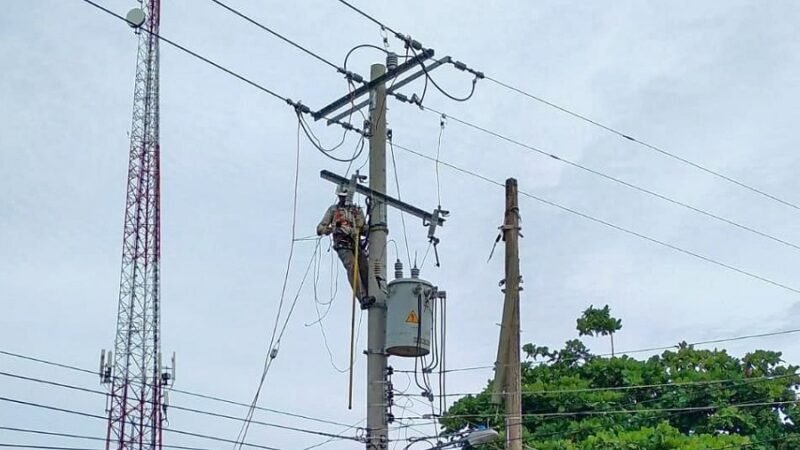 Afinia-cortes11demayo (2)