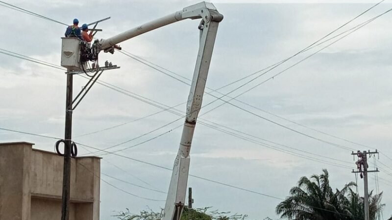 Afinia-cortes16-17-18demayo (2)