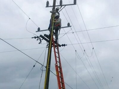 Afinia-cortesdel5al7demayo (2)