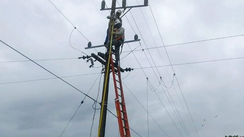 Afinia-cortesdel5al7demayo (2)