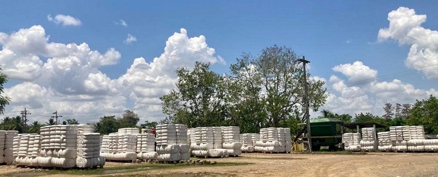 Algodón-cosecha2021-2022 (2)