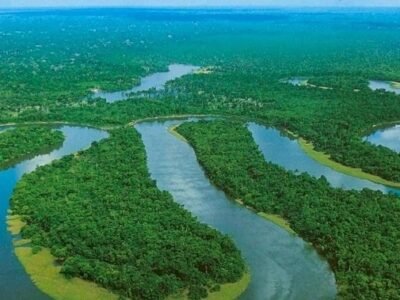 AmazoníaenColombia (3)