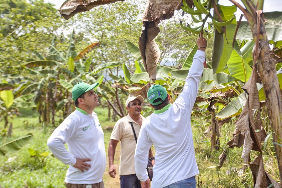 EPM-UAEOS-ANDAP (11)