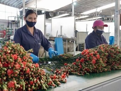 Exportaciones-flores (2)