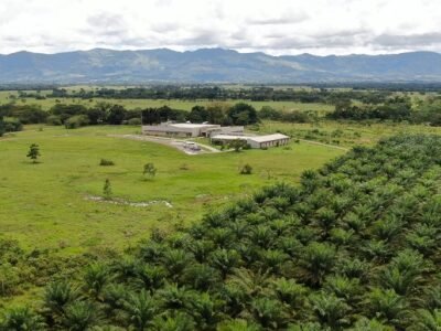 Fedepalma-CentroExperimentalLasCorocoras (2)