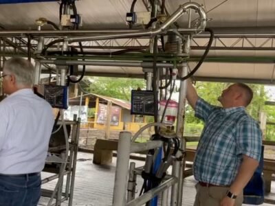 Fortaleza-visitadegringos_Moment-1