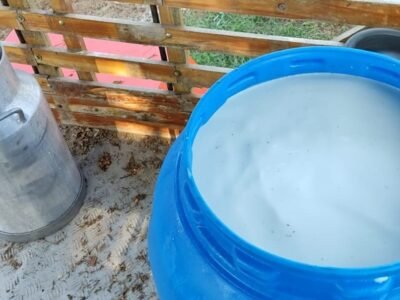 Paroarmado-lecheentanquesdeplástico (3)