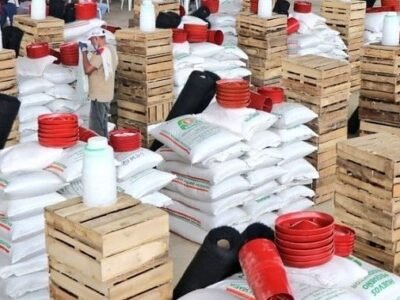 Recursosderegalías-gallinasponedoras (3)