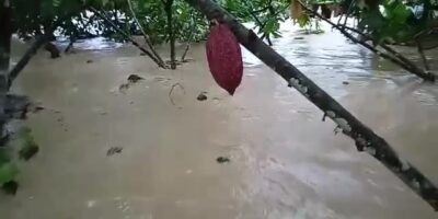 Tierralta-Cacaoinundado