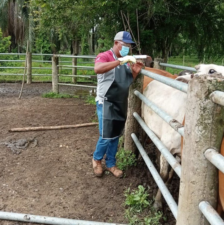 Vacunación-PrimerCiclocontra aftosa 2022 (2)