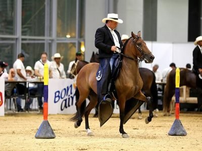 Agroexpocaribe-01 (2)
