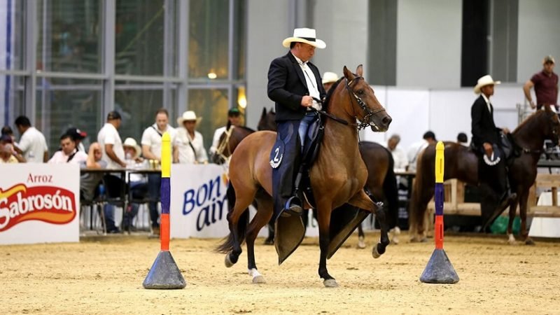 Agroexpocaribe-01 (2)