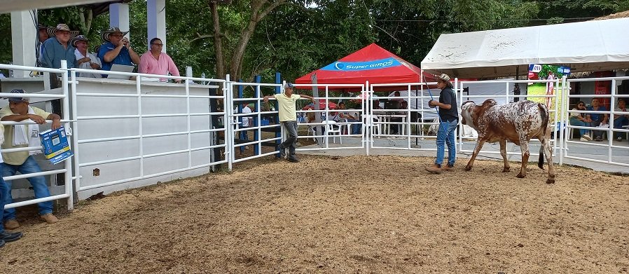 Asosubastas-rematedeCabezalyPotrero