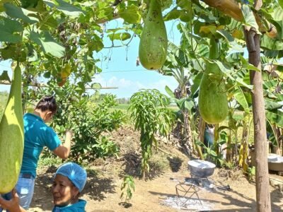 ElVichal-mujerescampesinas (2)